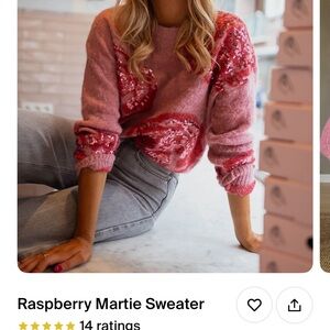 Raspberry Martie Pink Sequin Sweater